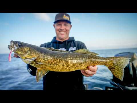 Видео: Как поймать судака осенью на GLIDE BAITS