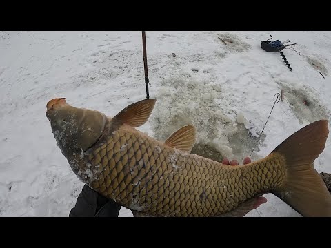 Видео: НАШЛИ СКОПЛЕНИЕ САЗАНА В КОРЯЖНИКЕ И ДАВАЙ ЕГО ТАСКАТЬ!!! ЖЕСТЬ!!! О ТАКОЙ РЫБАЛКЕ Я И НЕ МЕЧТАЛ...