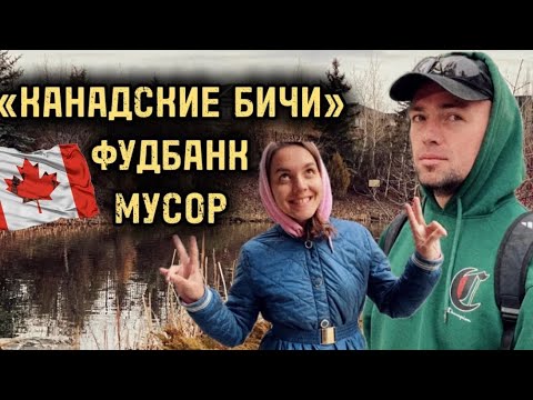 Видео: Первая работа в Канаде. Водительские права Альберта