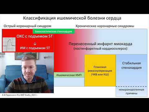 Видео: Классификация ИБС и клинические сценарии хронических коронарных синдромов (А.В.Родионов)