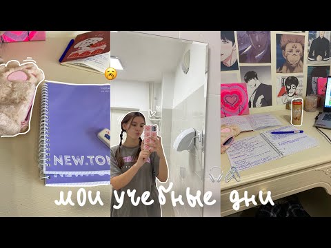 Видео: study diary: мои учебные дни📓🖇
