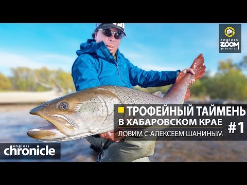 Видео: Трофейный таймень в Хабаровском крае. Ловим с Алексеем Шаниным. Часть 1. Anglers Chronicle