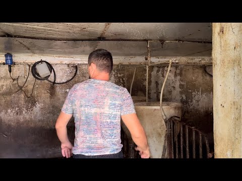 Видео: Вся правда про свинарство, яку від вас ховають.