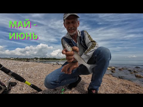 Видео: (1)РЫБОБЗОР май-июнь МОРЕ