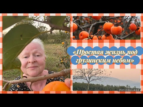 Видео: Простая жизнь под грузинским небом