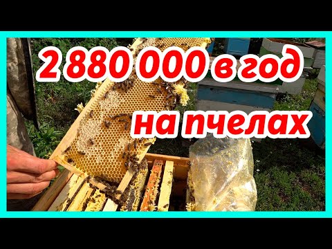 Видео: НАКАЧАЛ СЕБЕ СОСТОЯНИЕ // БИЗНЕС НА ПЧЕЛАХ // Жизнь в деревне