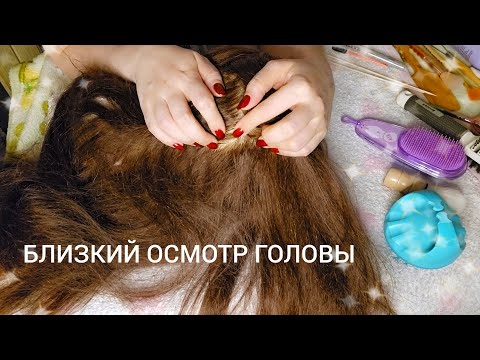 Видео: АСМР Мега Расслабляющий Осмотр Головы и Массаж Ты 100 % Точно Уснешь