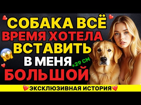 Видео: Был обычный день, пока собака не вставила ЭТО