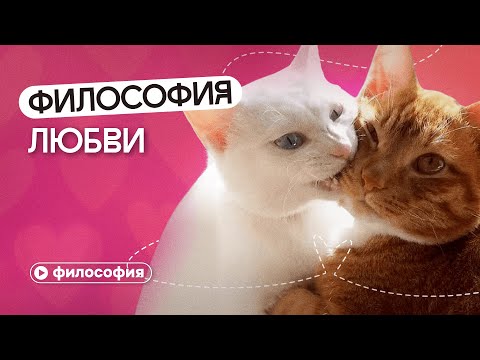 Видео: Что современные философы думают о любви