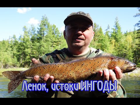 Видео: Забайкалье. Сплав. Сохондинский заповедник -река ИНГОДА