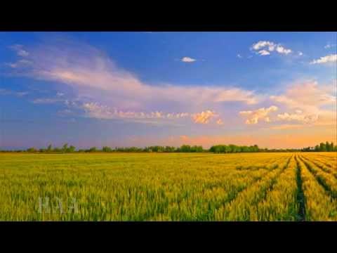 Видео: По адресу  Русь!