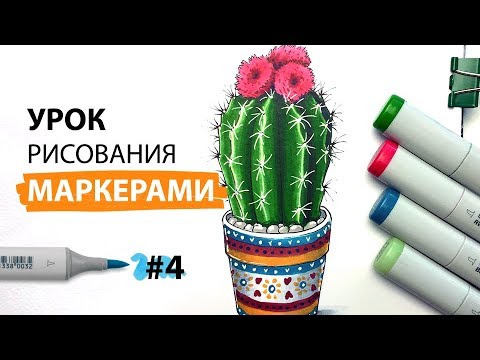 Видео: Как нарисовать кактус? / Урок по рисованию маркерами для новичков #4