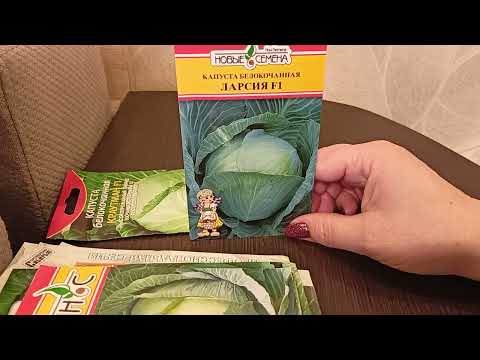 Видео: Обзор лучших гибридов белокочанной капусты для квашения.25 января 2022г.