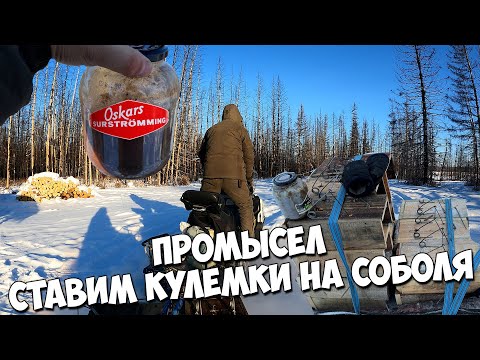 Видео: Якутский сюрстрёмминг из тугунков. Промысел. Едем ставить кулемки