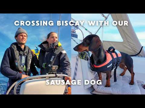 Видео: Плавание по Бискайскому заливу из Франции в Испанию | 52 часа в море с нашей собакой