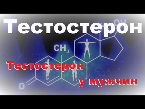 Видео: Тестостерон: 1. Тестостерон у мужчин