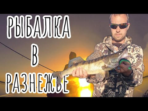 Видео: Рыбалка в РАЗНЕЖЬЕ.