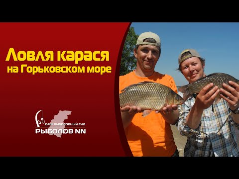 Видео: Ловля карася на Горьковском море