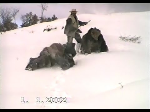 Видео: Сурва 2002 г. в село Брежани - началото