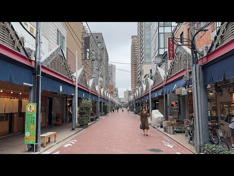 Видео: От острова Цукуда до Токио пешком. Деды на великах-лихачи. Монджя яки. Мост в Токио.