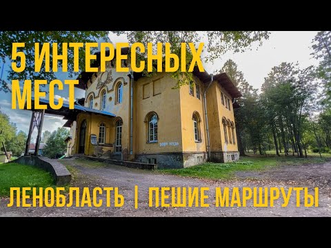 Видео: Ленобласть. Куда поехать на выходные. Места где вы еще не побывали. Экотропы