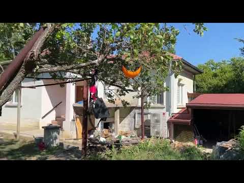 Видео: Жизнь в Болгарии. Эмиграция или жизнь на две страны. Продавать или оставлять? Наши будни.