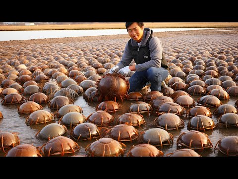 Видео: 100 Необычных Животных, Которых Люди Не Едят