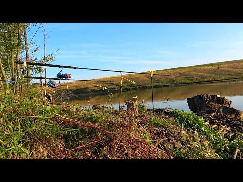 Видео: Рыбалка сказка! Хотел карася, но атаковали озерные торпеды! Осенняя рыбалка на кормачки!