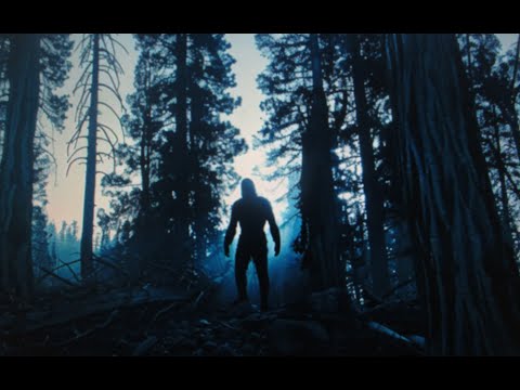 Видео: Снежный человек. Полевики. Ответы. Комментарии.