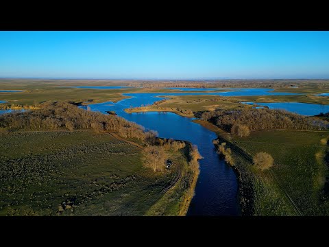 Видео: Осенний пикник.