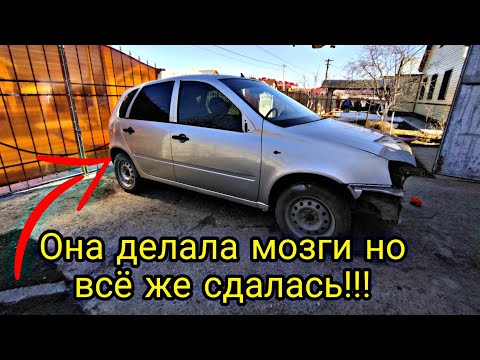 Видео: Купил калину покрасил и заработал более 62 тысяч за 10 дней