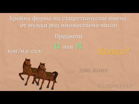 Видео: Употреба и правопис на числителни имена - Български език 4 клас | academico