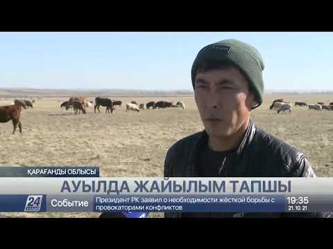 Видео: Қарағанды облысы Қызылқайың ауылына жайылым жер жетіспей жатыр