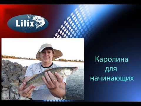 Видео: Каролина для начинающих