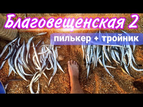 Видео: Рыбалка. на море! Открытие осеннего сезона! Благовещенская коса!