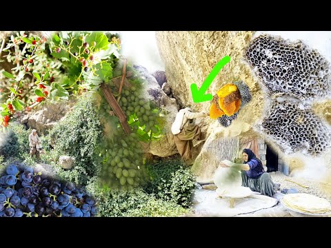 Видео: Охота за диким мёдом в горах | Удивительное приключение Joma + удивительный финал