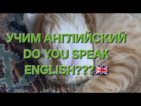 Видео: ЗАПРЕТ НА РАДОСТЬ И ЧАЙ В ЛИЦО‼️🤷‍♀️