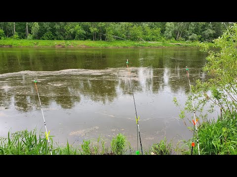 Видео: РЫБАЛКА! ПЫТАЕМСЯ ПОЙМАТЬ БОЛЬШУЮ РЫБУ!..