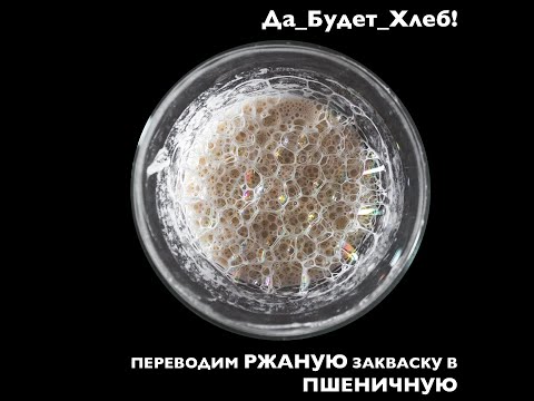 Видео: Переводим Ржаную закваску в Пшеничную