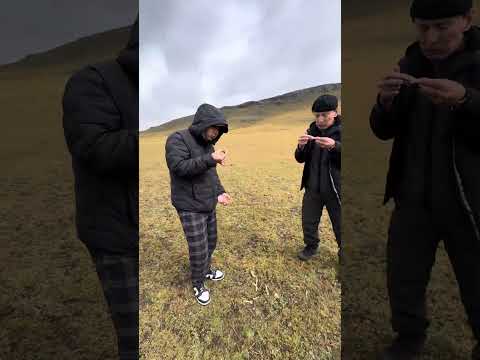 Видео: Могод нутагтаа