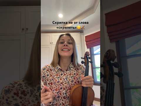 Видео: Скрипка не от слова «скрипеть»🙃🎻