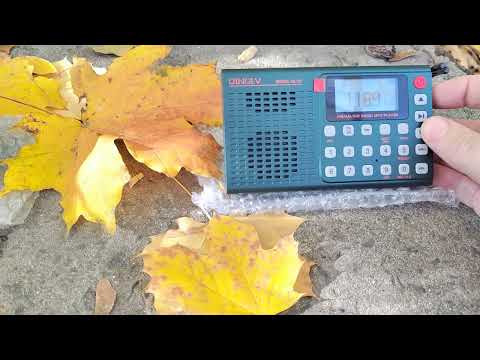 Видео:   Retekess V 115 &  Klon QL 02 . Сравнение приёма на СВ. Chishinau 12:20.