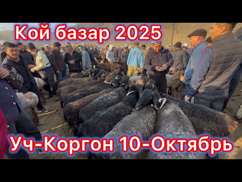 Видео: Уч-Коргон кой базары 10-Октябрь 