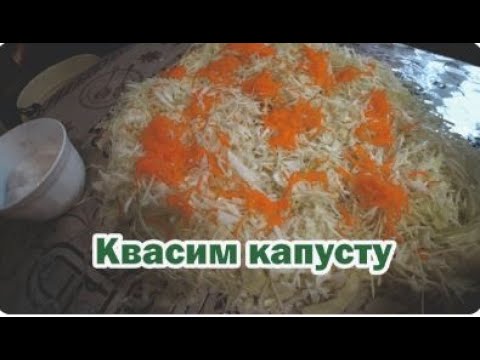 Видео: Традиционный рецепт квашеной капусты
