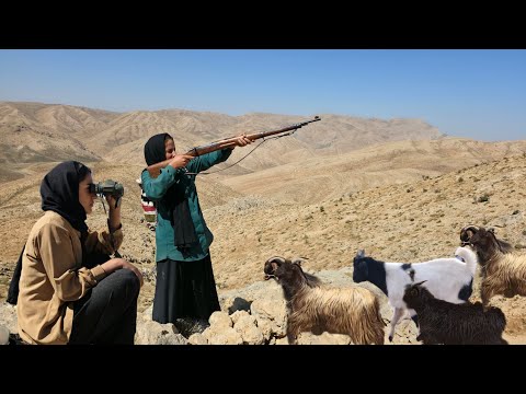 Видео: «Кризис кочевой жизни | Ночное нападение воров и ужасающая погоня с оружием в горах»