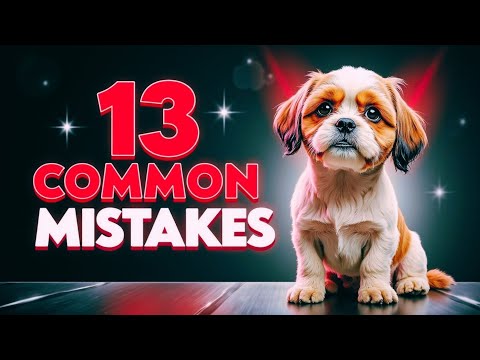 Видео: Что ненавидит ши-тцу? 13 распространённых ошибок, которых следует избегать!
