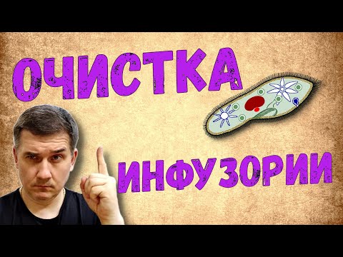 Видео: Инфузория стартовый корм для мальков / Как очистить и промыть инфузорию перед кормлением малька
