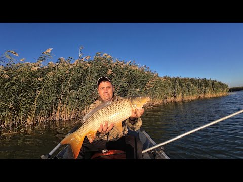 Видео: СУПЕР РЫБАЛКА СПЛАВОМ, КРУПНЫЙ САЗАН НА БУТЫЛКИ, РЕКА МАНЫЧ!