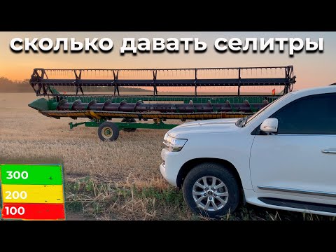 Видео: Эксперимент с нормами селитры на ячмене. Урожайность. Экономика питания азотными удобрениями