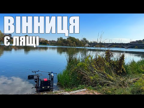 Видео: ФІДЕРНА РИБАЛКА СЕРЕД МІСТА | Маленькі хитрощі та тактика на фідер в жовтні.